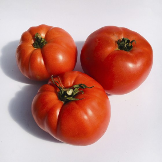 Euskal tomatea